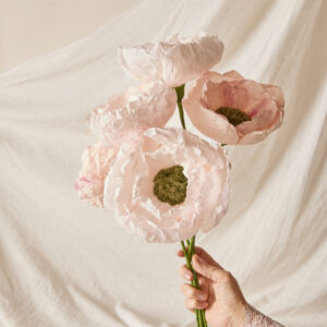 Peonie