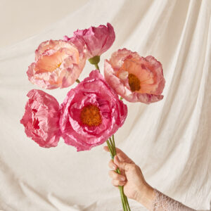 Peonie