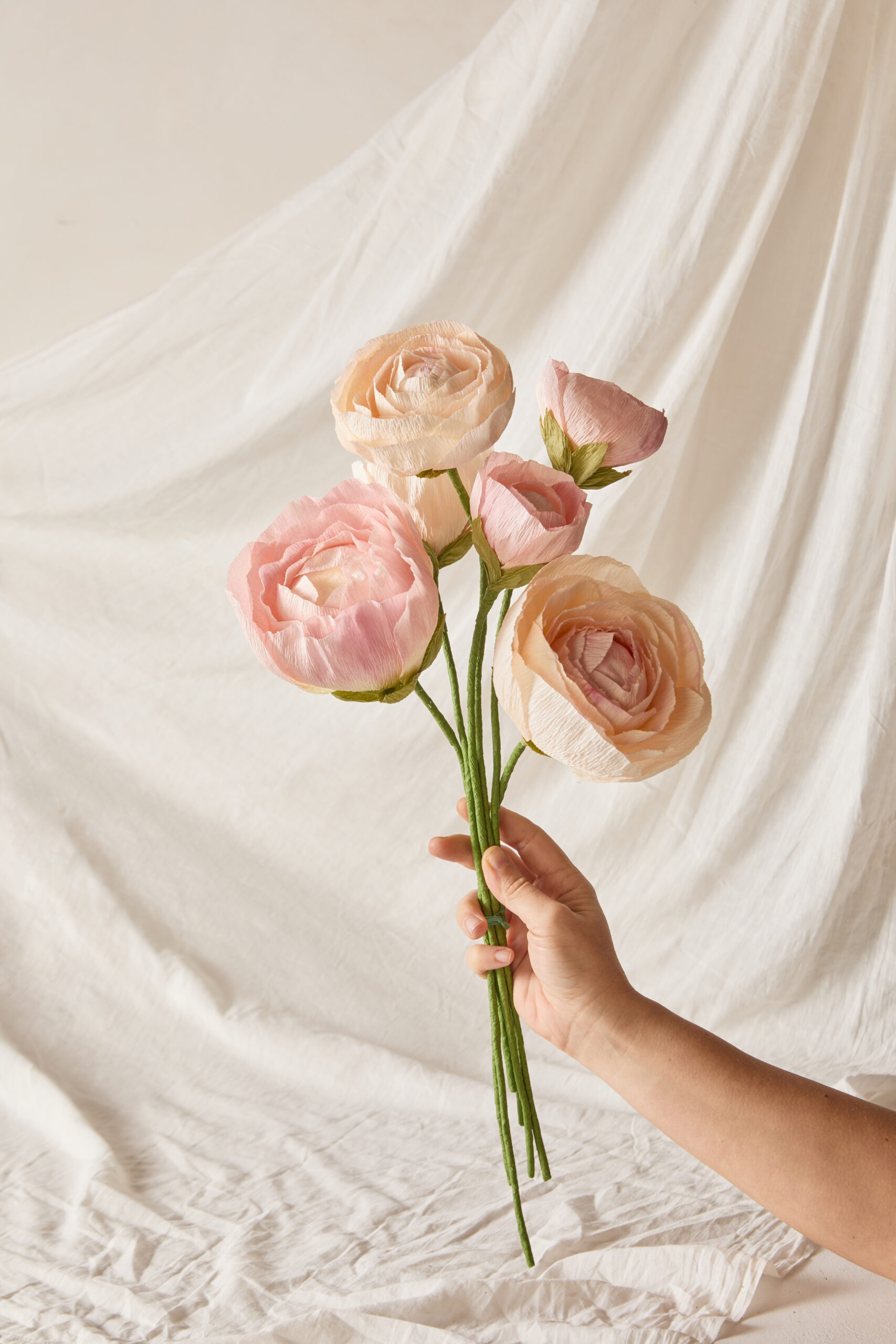 fiore peonia (13)