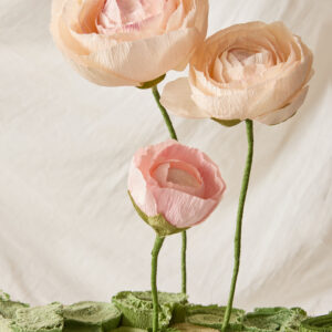 fiore peonia (14)